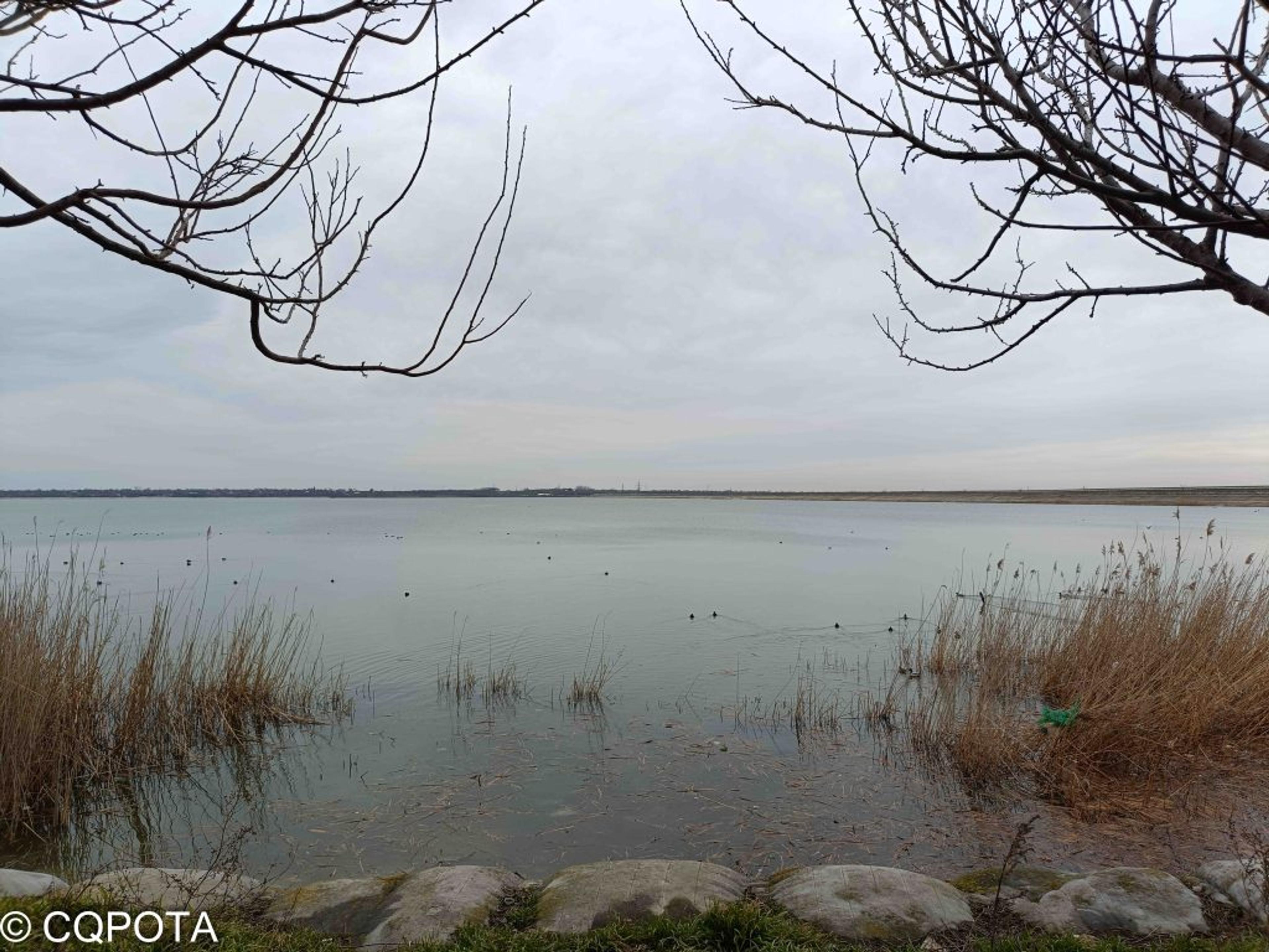 Lacul Manastirea