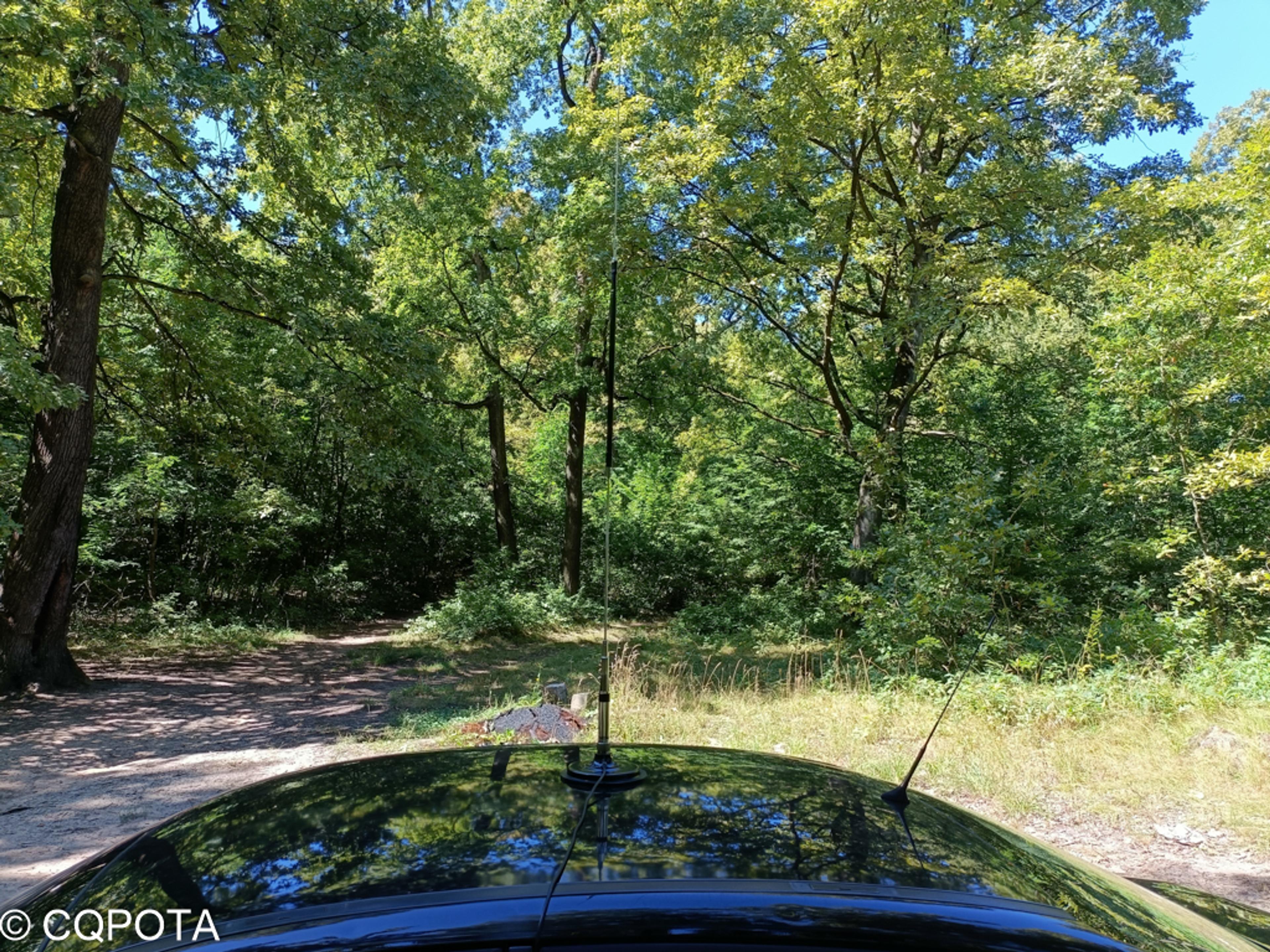 Diamond vertical antenna