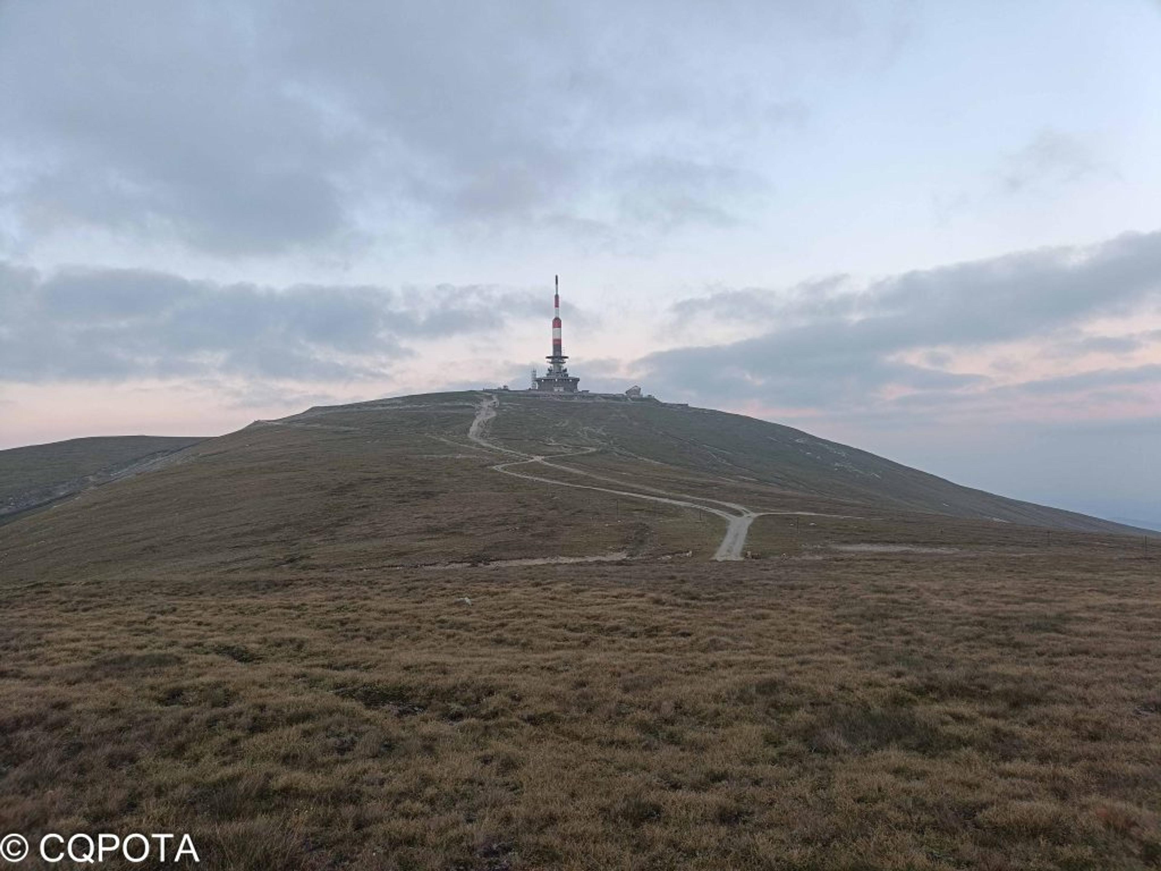 Vârful Coștila