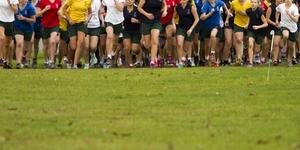 Feature image for Craighead Annual Cross Country - last day of term!