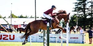 Feature image for Equestrian: TiES Jumping Futurity Series