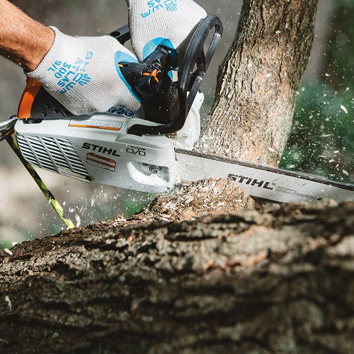 STIHL MS 151 T C-E | Hutson Inc