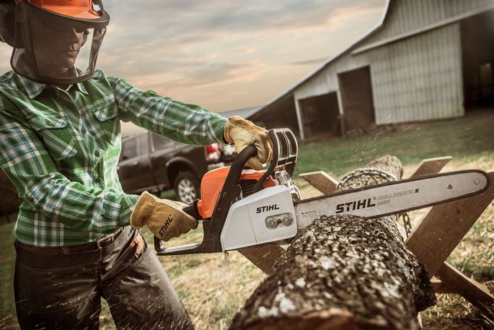 Stihl ms170 rollomatic deals mini