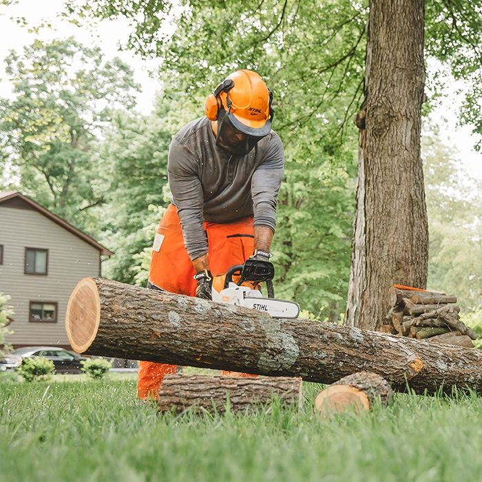 Stihl 220 discount chainsaw for sale