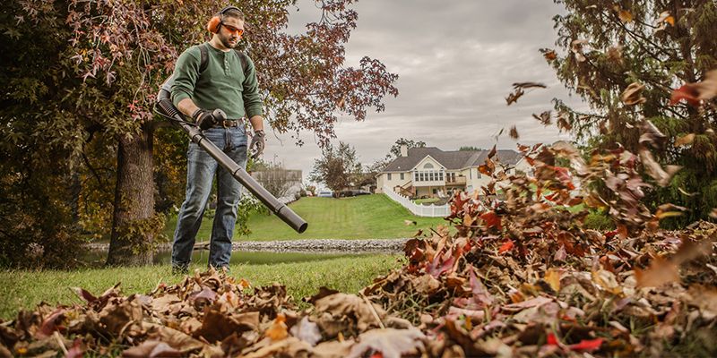 Should I Use My Lawn Mower To Pick Up Leaves In The Fall? - Lawn