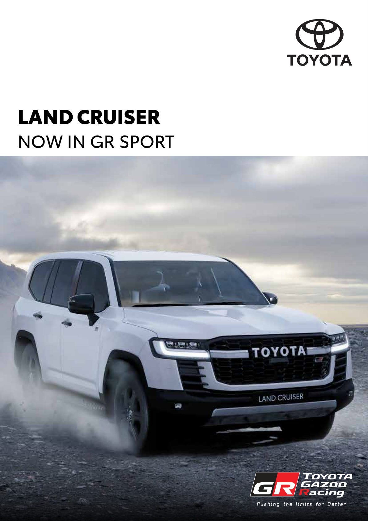 Toyota Land Cruiser — image 2