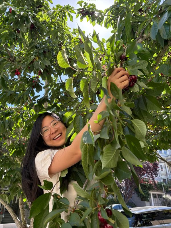 finding cherries in the middle of San Francisco!