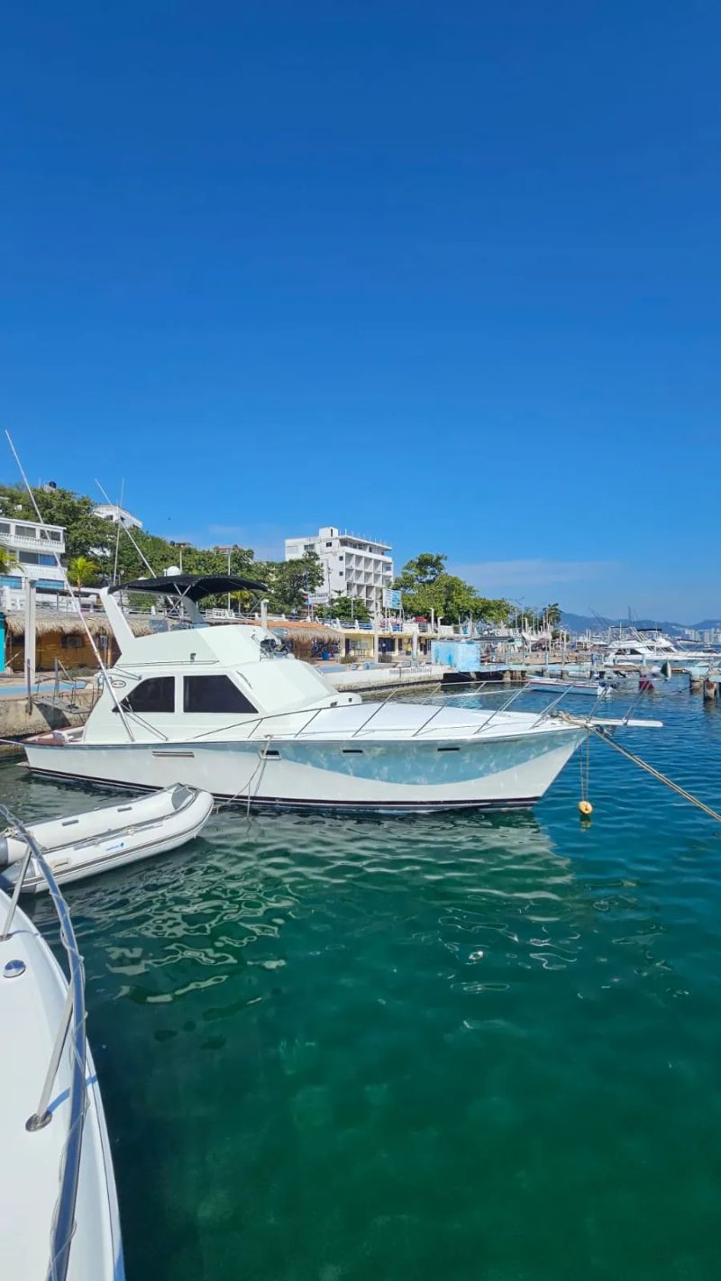 Yate Daysi May 38FT