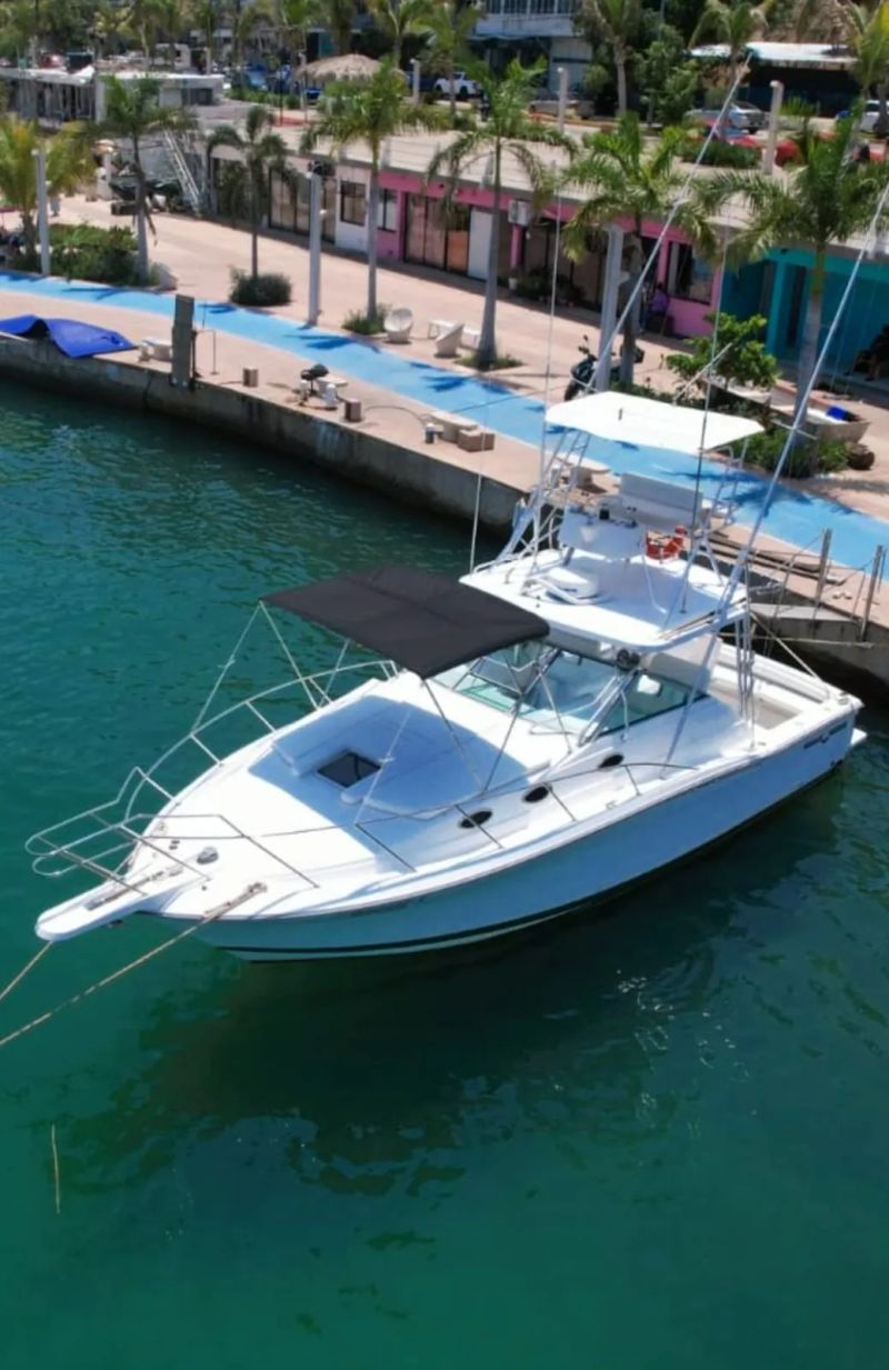 Bote Náutico 33FT