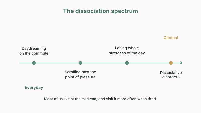 Diagram of the dissociation spectrum from everyday to clinical: daydreaming on the commute, scrolling past the point of pleasure, losing whole stretches of the day, then dissociative disorders at the clinical end; most of us live at the mild end