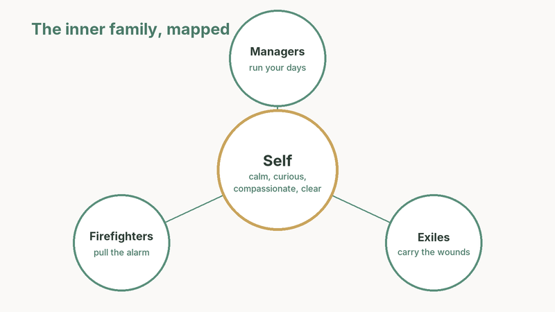 Diagram of the Internal Family Systems map: Self at the centre, calm, curious, compassionate and clear, surrounded by managers that run your days, firefighters that pull the alarm, and exiles that carry the wounds