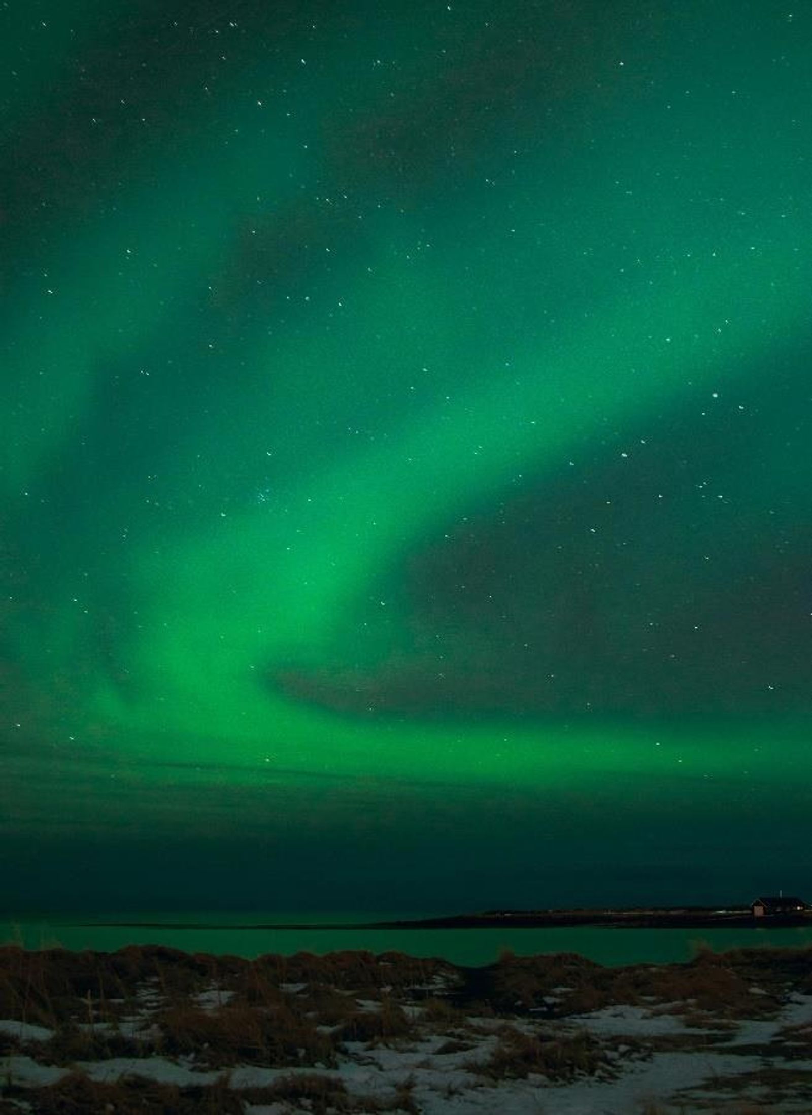 Northern lights seen from M/S Quest