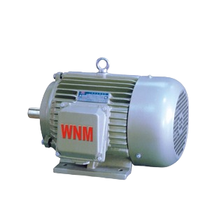 YD2 Series Pole-Changing Three Phase Induction Motors