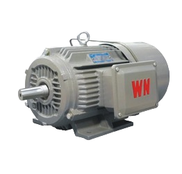 YEJ2 Series AC Squirrel-Cage Brake Motors