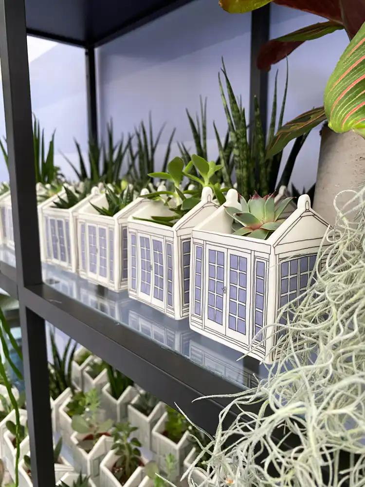 planters
