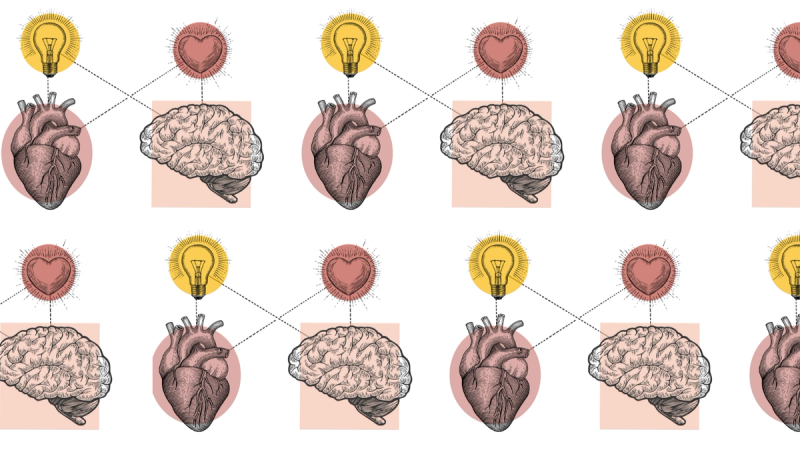 Diagram showing a heart with a lightbulb and a brain with a heart symbol.