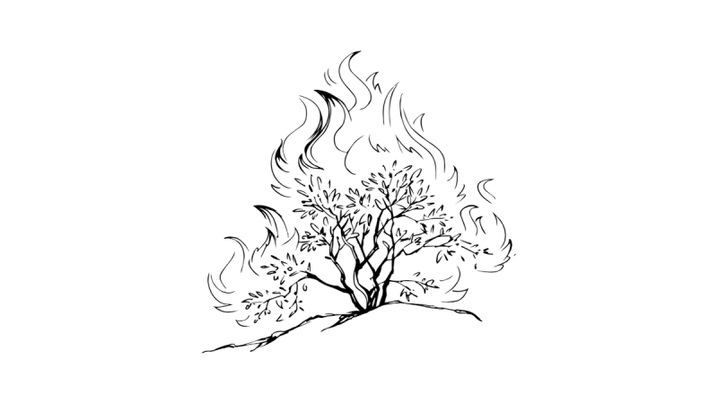 A sketch of a burning bush.