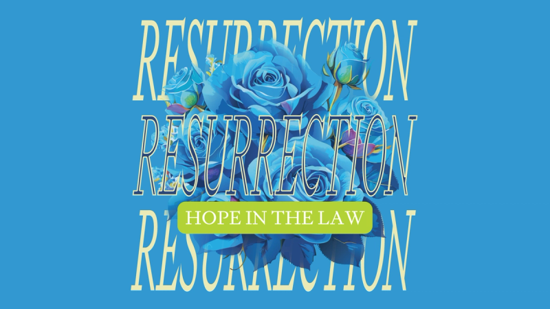 Bright blue roses with the word resurrection repeated three times.