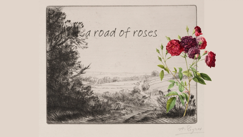 The sketch of a rambling country road with a branch full of several red roses.