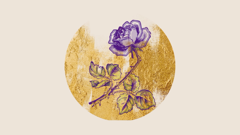 A purple rose with a gold circle behind it.