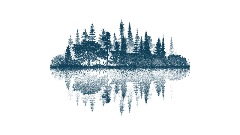 A blue ink sketch of pines and other trees reflected on the smooth surface of a pond.