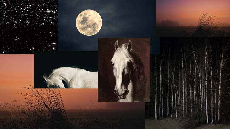 A collage of a white horse, night skies with the moon, and a distant sunset horizon.