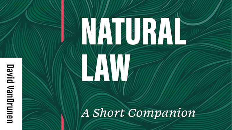 A snapshot of the "Natural Law" book cover with green leaves on it.