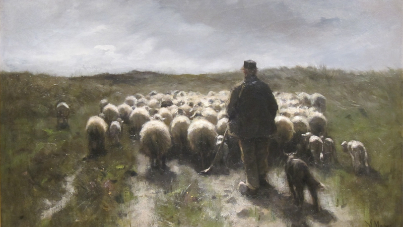 A shepherd and his sheepdog guiding a flock of sheep across a grassy meadow.