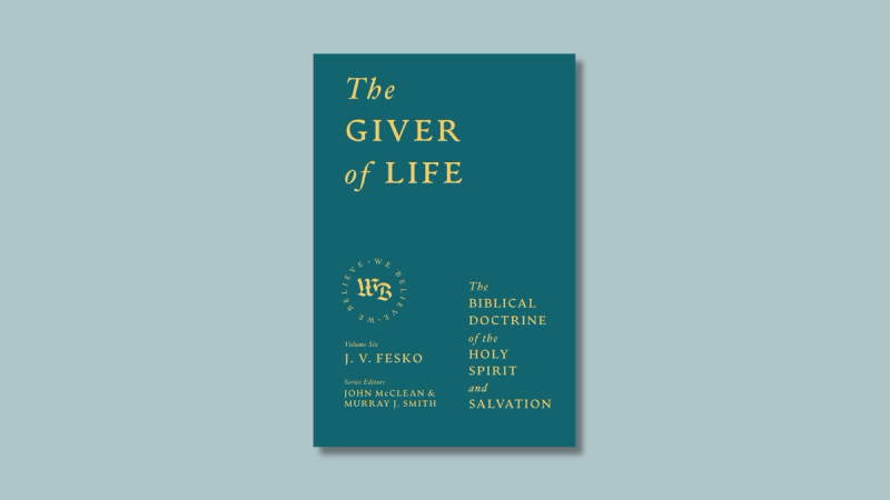 The book cover on a pale green blue background.