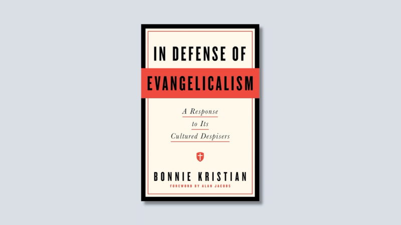 The book cover on a soft grey background.