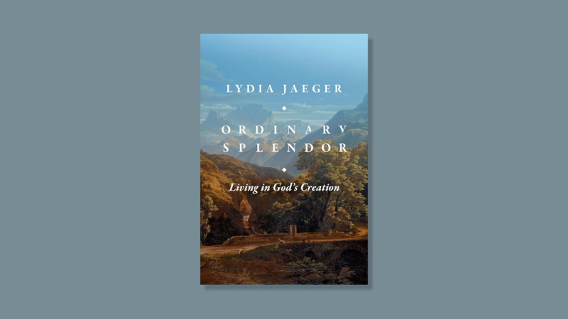 A beautiful book cover with a detailed landscape painting in front of a soft blue gray background.