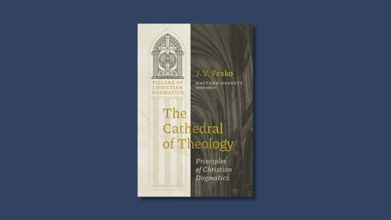 The book cover on a dark blue background.