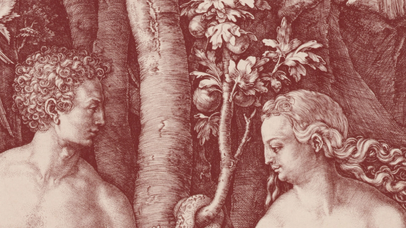 An illustration of Adam and Eve in the Garden of Eden.