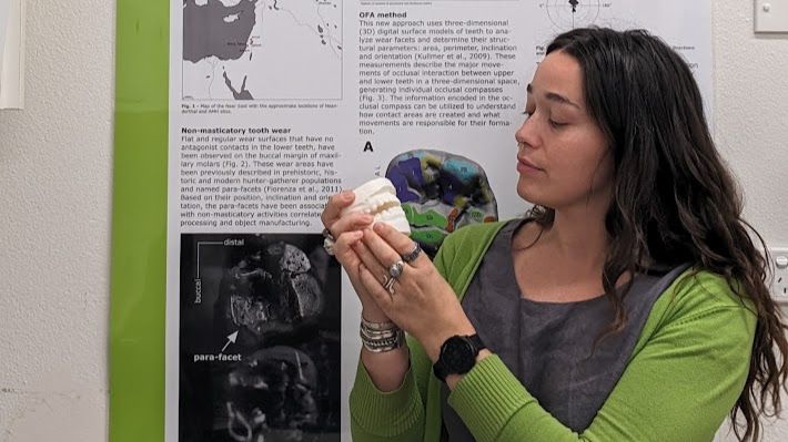 Magdalena Sañudo Cox using Bower for dental anthropology and tooth wear research