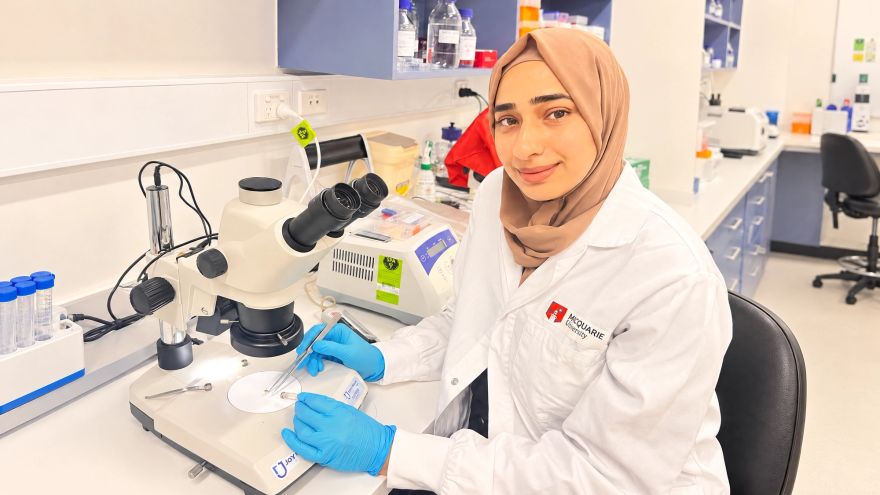 Fozia Masood at a stereo microscope in her Macquarie University lab