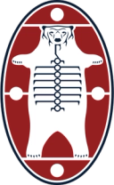 Nishnawbe Aski Nation Logo