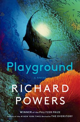 Cover of Playground