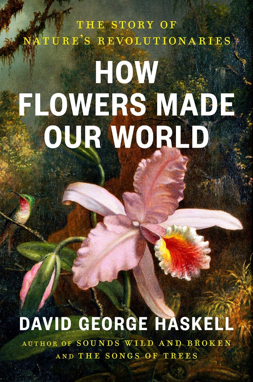 Cover of How Flowers Made Our World 