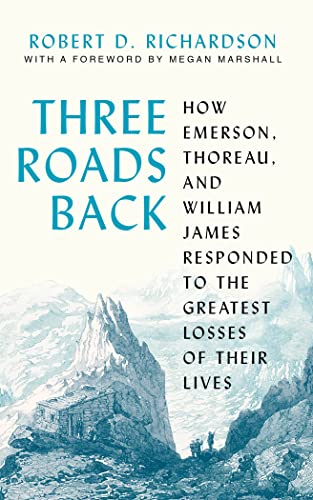 Cover of Three Roads Back 