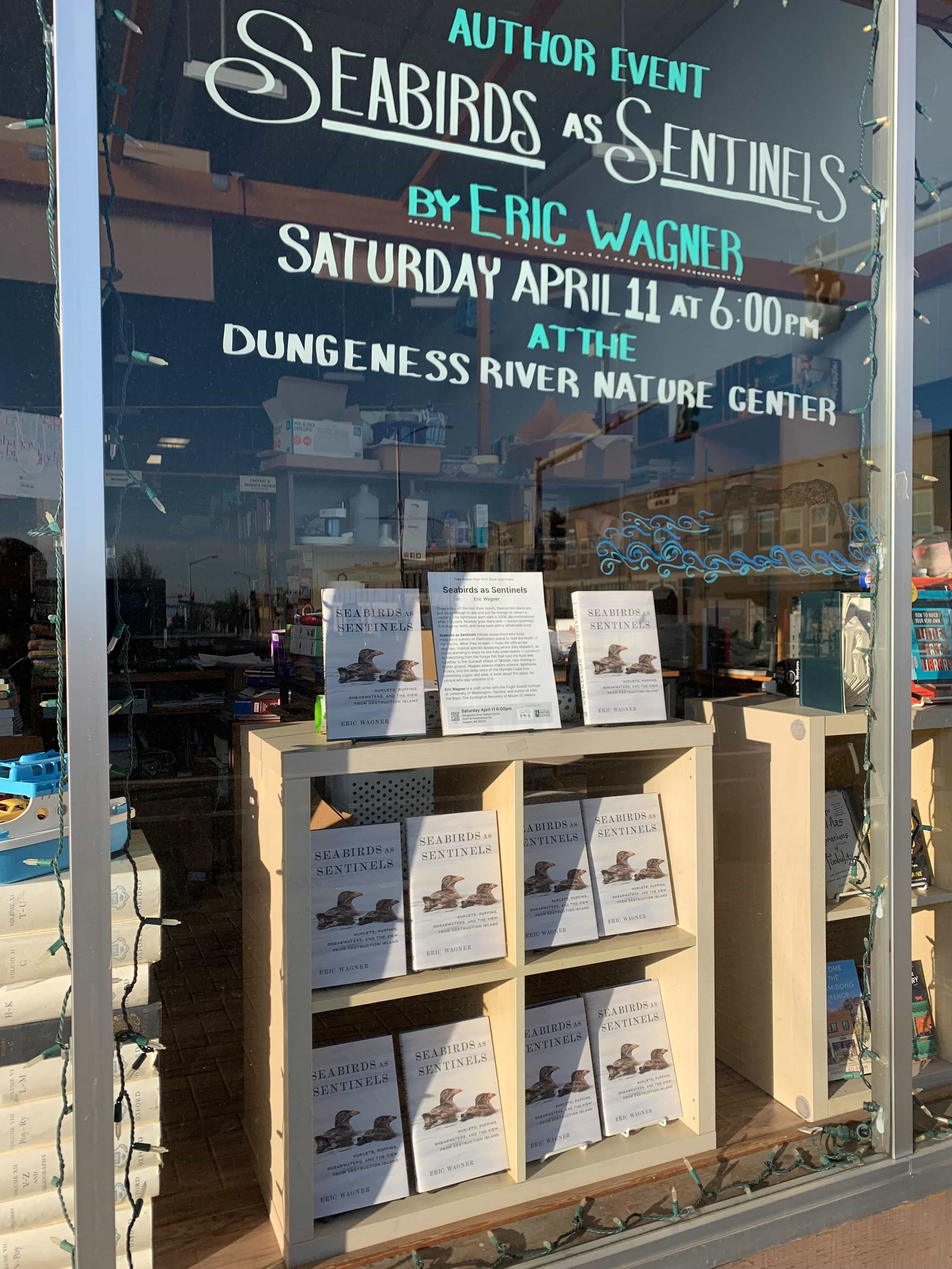 Window for seabirds event