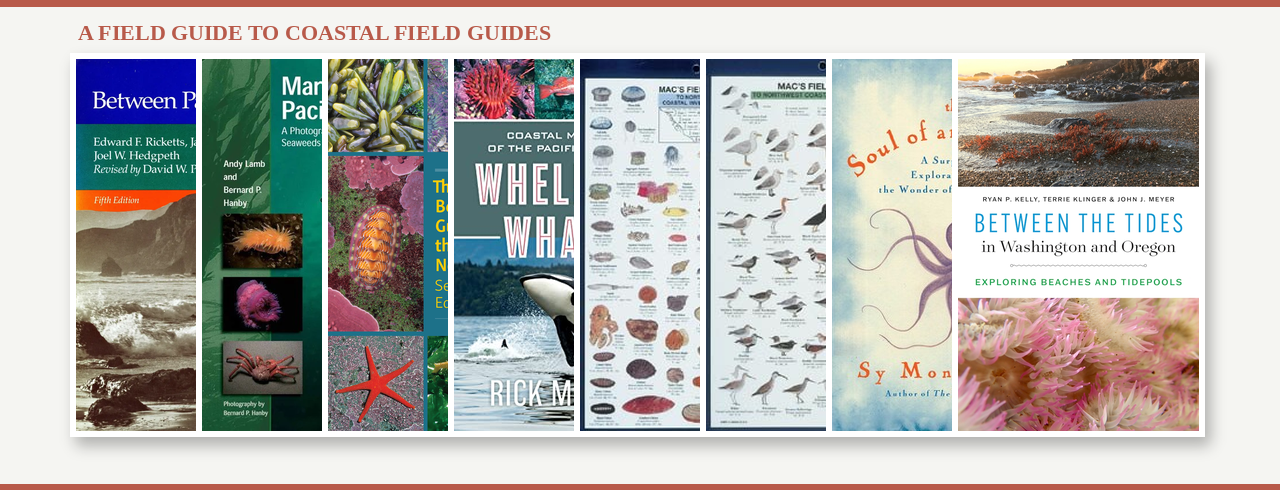 Covers of various field guides
