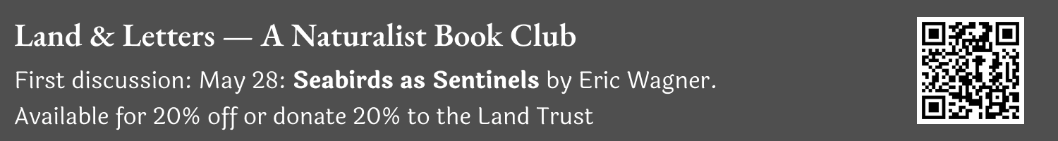 Lands and Letters