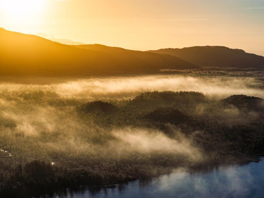 A temperature inversion pools across the Strathspey valley floor near Nethy Bridge on a winter solstice dawn, mist threading between stands of Scots pine and birch while the low sun catches the upper fog layer in warm relief. The loch or river channel in the foreground anchors the composition, its dark surface a counterweight to the luminous cloud above. The Cairngorm massif recedes silhouetted behind, lending scale to the inversion depth.