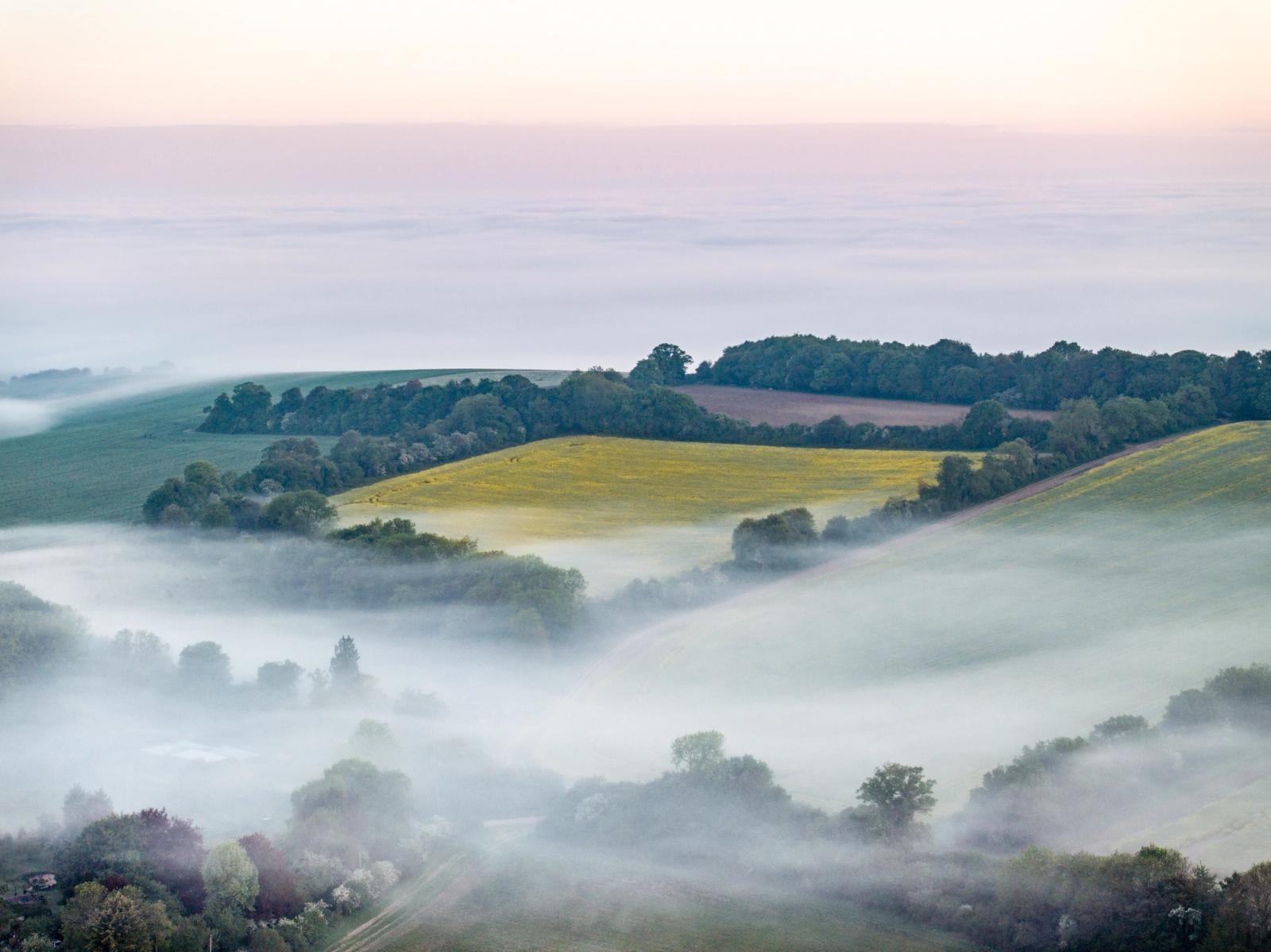 A temperature inversion fills the valley floors of the southern Chilterns at dawn, leaving hilltop fields and woodland copses as islands above the fog. A rapeseed field catches the pale morning light, its yellow cutting cleanly against the muted grey-green of the mist. The layering of fog, field, and pastel sky gives the scene a quiet structural precision unusual at this scale.