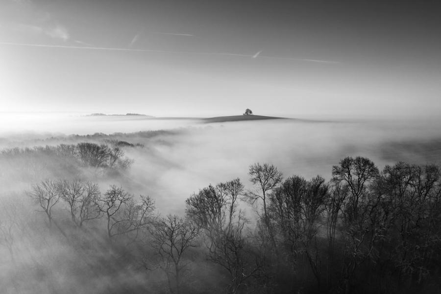 A temperature inversion fills the valley below Abingdon at dawn, submerging bare winter woodland beneath a continuous fog layer while a solitary tree-crowned hill emerges as an island above the white. The monochrome conversion reinforces the tonal separation between the dark filigree of leafless canopy in the foreground and the luminous, backlit mist beyond.