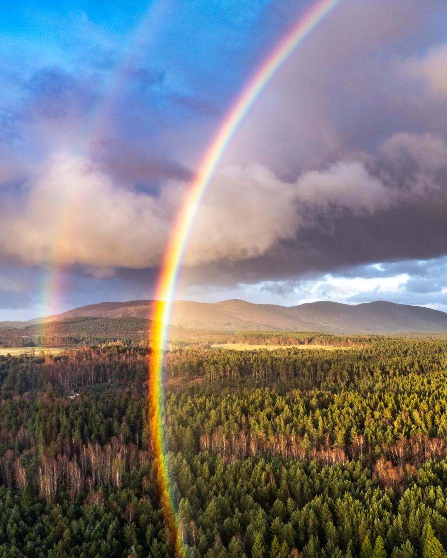 A primary rainbow descends vertically through the frame toward the Scots pine canopy of Strathspey, with the Cairngorm plateau visible beneath a retreating storm. The aerial vantage isolates the base of the bow with unusual precision, compressing forest, open strath, and mountain into a single coherent plane. Warm lateral light catches the treetops against the bruised clouds behind.
