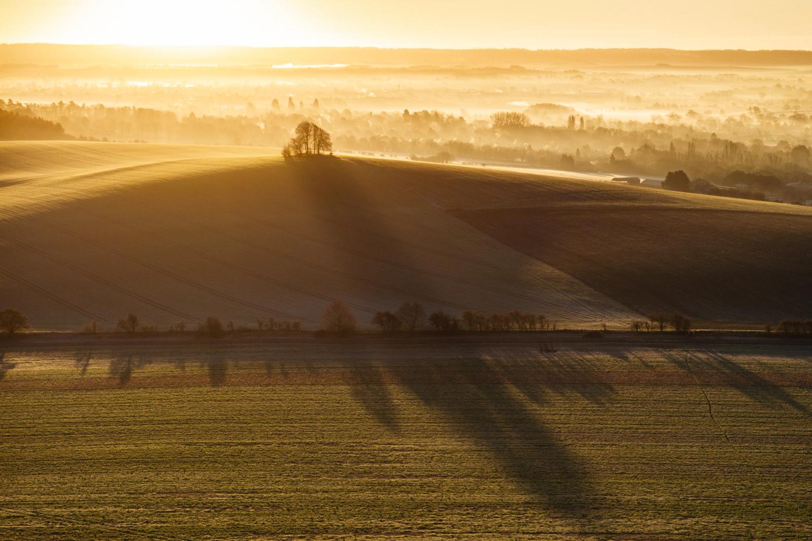 Low winter sun breaks across the ploughed chalk hillside of Brightwell Barrow, near the Wittenham Clumps in Oxfordshire, casting long tree shadows across frost-silvered pasture while a temperature inversion fills the Vale of White Horse with layered mist. A small copse crowns the barrow's summit, silhouetted against the luminous distance. The aerial vantage reveals the undulating field geometry of these Oxfordshire downs as they dissolve into the fog.