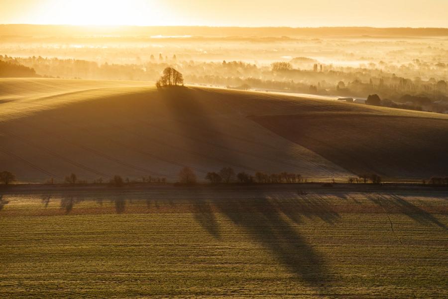Low winter sun breaks across the ploughed chalk hillside of Brightwell Barrow, near the Wittenham Clumps in Oxfordshire, casting long tree shadows across frost-silvered pasture while a temperature inversion fills the Vale of White Horse with layered mist. A small copse crowns the barrow's summit, silhouetted against the luminous distance. The aerial vantage reveals the undulating field geometry of these Oxfordshire downs as they dissolve into the fog.
