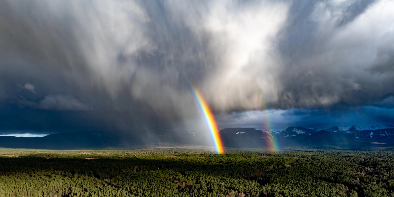A primary and secondary rainbow descend into a boreal pine forest on the Cairngorm plateau as a curtain of virga sweeps across the massif. The aerial vantage isolates the full arc against a bruised cumulonimbus base, with snow-capped summits visible through a break in the weather to the east. Spring snowpack on the high ground confirms the season.