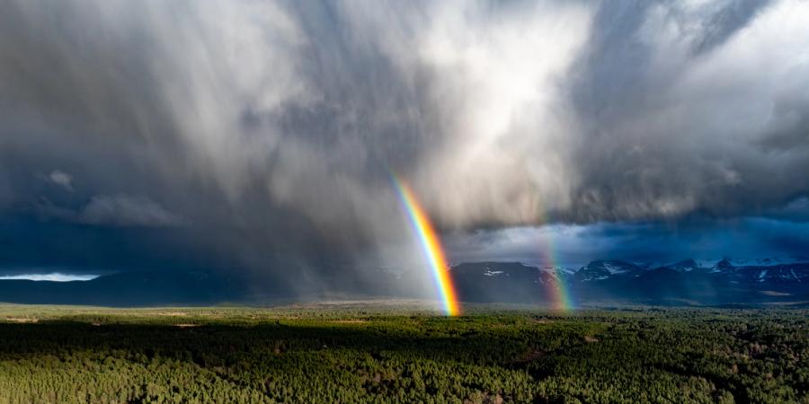 A primary and secondary rainbow descend into a boreal pine forest on the Cairngorm plateau as a curtain of virga sweeps across the massif. The aerial vantage isolates the full arc against a bruised cumulonimbus base, with snow-capped summits visible through a break in the weather to the east. Spring snowpack on the high ground confirms the season.